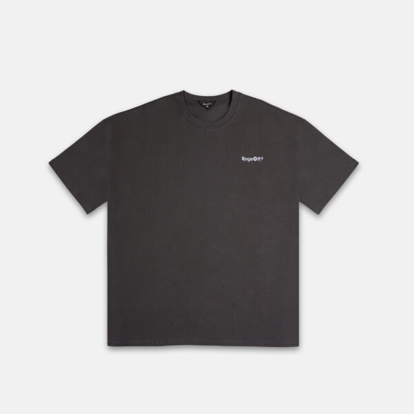 Iconic Logo Grey Oversized T-Shirt